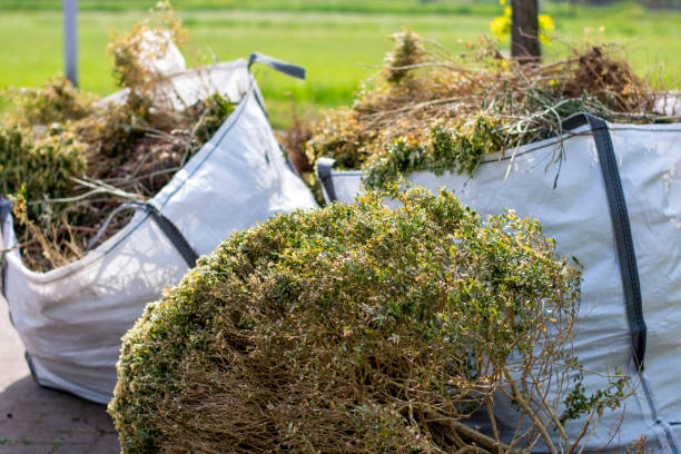 Best Junk Removal Near Me  in Solvang, CA