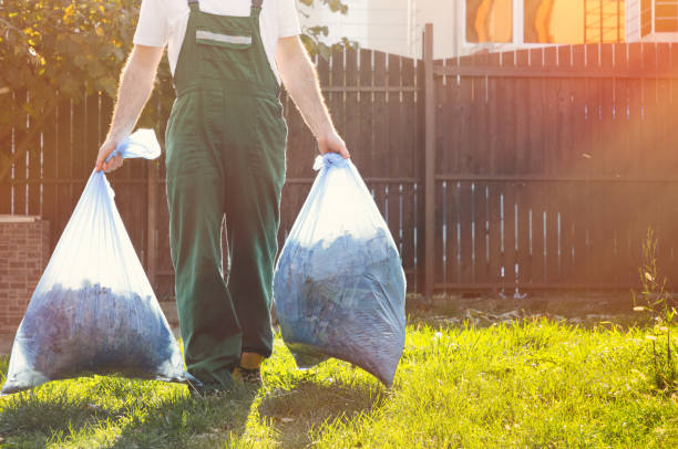 Best Junk Hauling Services  in Solvang, CA